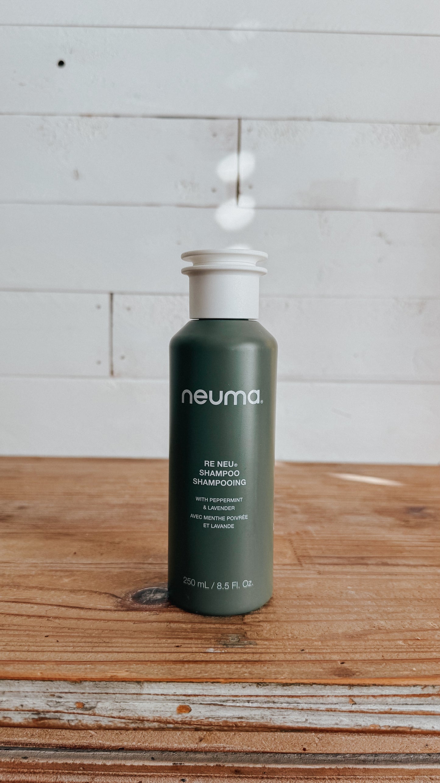RE NEU SHAMPOO