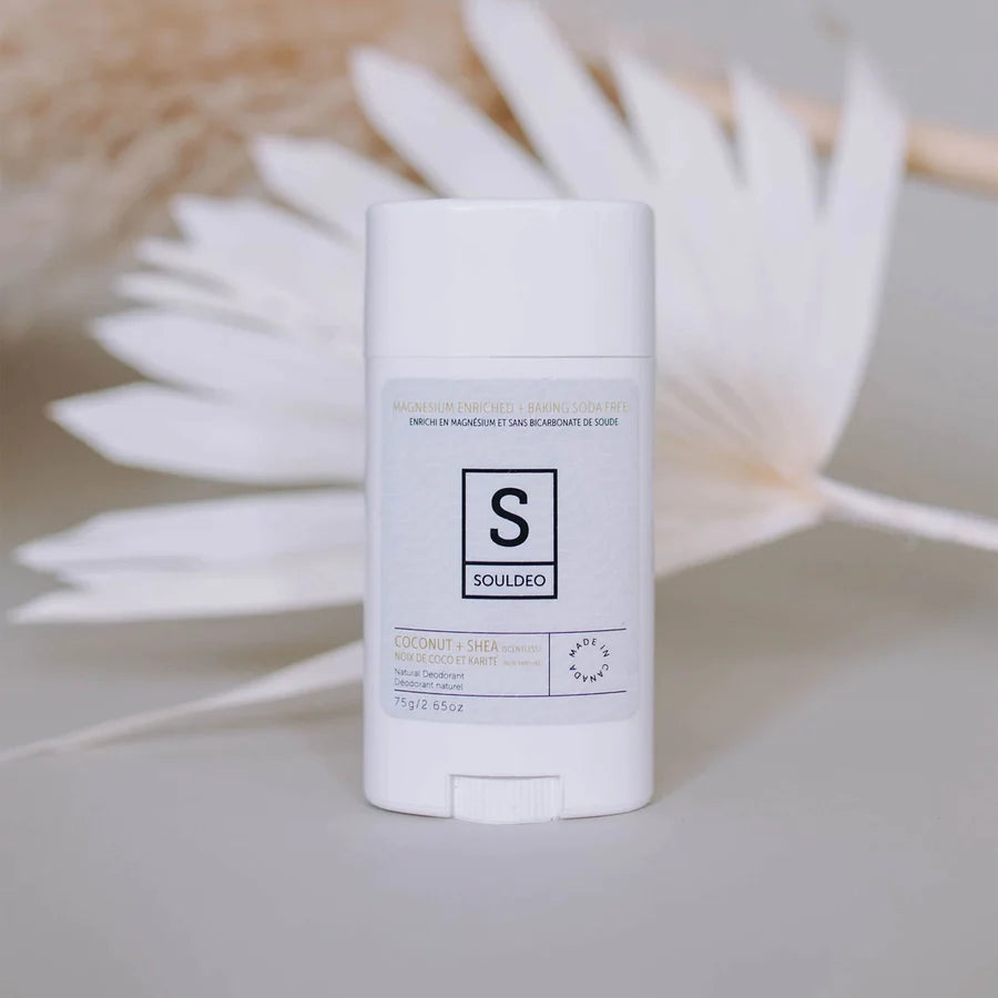 Coconut + Shea Scentless Deodorant